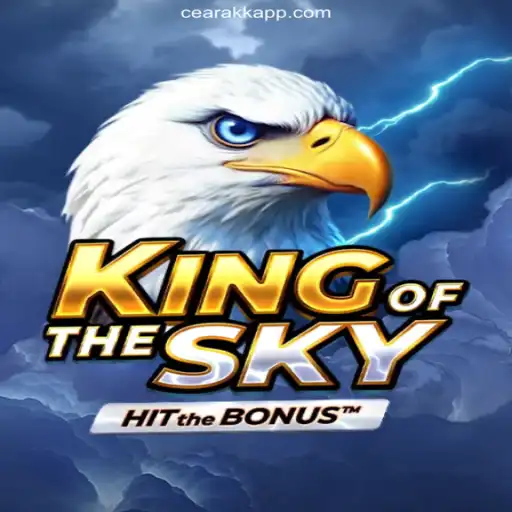 Fly High with KingOfTheSky: An Engaging Online Adventure